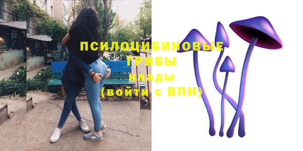 гидропоника Аркадак